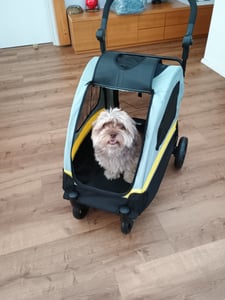 WISFOR, passeggino pieghevole per cani, carrello per cani, rimorchio per cani, borsa per cani con maniglia regolabile Foto del cliente 1