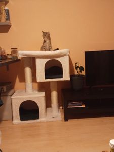 FEANDREA Kratzbaum, L Katzenbaum, mit 2 Häuschen, 80 cm, kompakt, rauchgrau Kunden-Foto 3