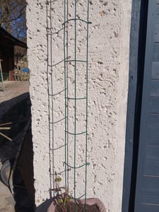 Tomaten- und Gemüse-Rankturm 148cm grün Kunden-Foto 1