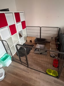 TRESKO® Welpenlaufstall 60 cm hoch mit Dach & Erdankern | Welpenauslauf 8-teilig | Hundelaufstall faltbar mit Tür | Aufbau werkzeugfrei | Tierlaufstall Hunde wetterfest 8 teilig Kunden-Foto 1