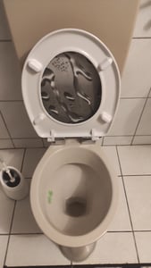 XMTECH WC-bril met automatische zachte sluiting, universele maat. Toiletzitting van hard plastic, deksel van duroplast. (Let op: de toevoeging "Süßwasserzierfische" (zoetwaterornamentale vissen) lijkt hier irrelevant en is weggelaten.) Klantenfoto 1