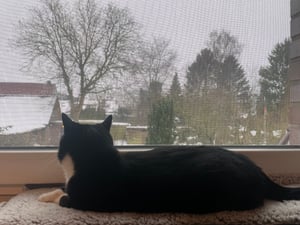 Katzen Fensterliege Fensterbank rutschfest - Selbstwärmende Katzenmatte für Fenster 90x28cm - Weich & Kuschelig - Waschbarer Bezug (Braun) Kunden-Foto 1
