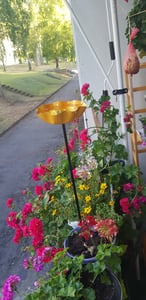 Vogeltränke Garten Metall, Bienen Tränke mit Erdspieß, rostfrei & frostbeständig, dekorative Gartenskulptur für Vögel, Bienen & Schmetterlinge Kunden-Foto 1
