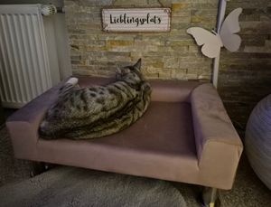 vidaXL Pelech pre psov ružový 70x45x26,5 cm Velvet Fotografia od zákazníka č. 1