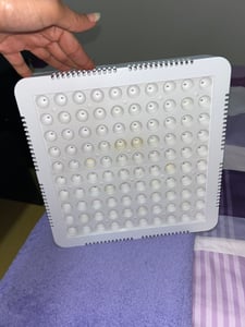 300W LED Pflanzenlampe, Led Grow Lampe Full Spectrum Wachsen Licht Wachstumslampe Pflanzenlicht für Zimmerpflanzen Gemüse und Blumen Kunden-Foto 2