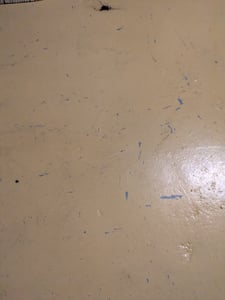 BAUFIX Boden-Flüssigkunststoff lichtgrau matt, 5 Liter, Beton- und Bodenfarbe Kunden-Foto 2