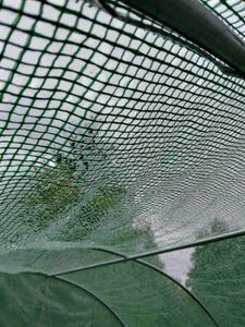 VOUNOT® Gewächshaus Foliengewächshaus Winterfest Tomatenhaus Folientunnel, 3x3x2m 9m² Kunden-Foto 1