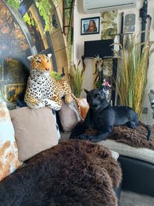 XXL Tiger Plüschtier Weiss 1,10 m Kuscheltier Kunden-Foto 1