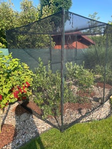 COSTWAY Pflanzenschutzzelt, stabiles Gartenpflanzenzelt mit Metallrahmen, 6 Metall-Erdnägeln, Rolltor&Tragtasche, Schutzzelt für Gemüse 310x200x200 cm Kunden-Foto 1