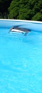 Poolroboter AIRROBO CP20, Kabelloser Poolsauger Reinigt den Boden, Wände, Wasserlinie, Poolreiniger-Staubsauger für Ein- und Oberirdi Kunden-Foto 4