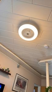 EINFEBEN Deckenventilator Deckenventilatoren mit Beleuchtung 80W Dimmbar Fan Licht deckenlampe Einstellbare Windgeschwindigkeit Lampe lüfter kronleuchter mit Fernbedienung Kunden-Foto 3