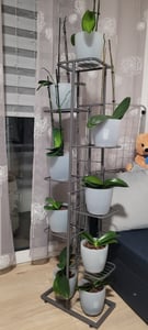Mulisoft 5-Tier Hölzern Blumenregal Pflanzenregal, Mehrstöckig Blumenständer Pflanzenständer, Blumenbank Blumentreppe Pflanzentreppe,  Standregal für Innen Garten Balkon Deko mit Rollen, Braun Kunden-Foto 10