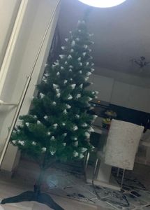 Aga Weihnachtsbaum 220 cm Verschneit Kunden-Foto 1
