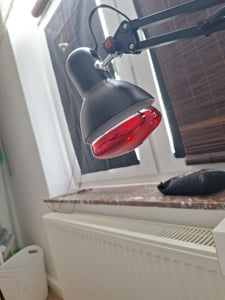 Infrarotlampe Rotlichtlampe Wärmelampe  mit ständer Lampenhalterung 360° Kunden-Foto 1