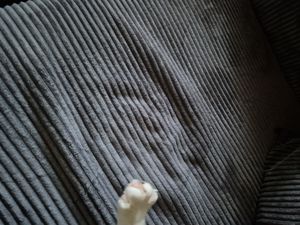 VENASI Ecksofa mit Schlaffunktion Hugo XL, Grün Cordstoff Kunden-Foto 13