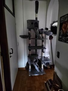 Pawhut Katzenbaum Kratzbaum Kletterbaum deckenhoch verstellbar Hellgrau Kunden-Foto 1