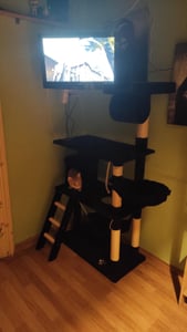 tectake® Kratzbaum Marcel 141 cm inklusive Treppe, Spielkordel und Kippschutz Kunden-Foto 3