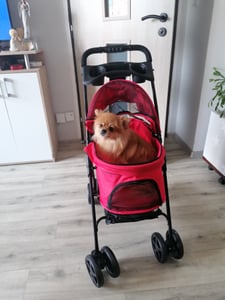 PawHut Hundewagen Pet Stroller für kleine Hunde Haustierwagen Oxford Blau Kunden-Foto 3