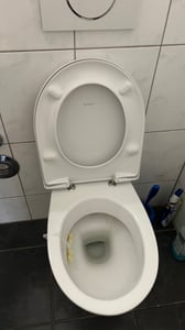 Geberit Renova WC-Sitz mit Deckel Kunden-Foto 1