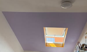 WALLCOVER Wandfarbe Pastell Rosa Hochdeckend Klasse 1 Matt 1L für 8 m² Kunden-Foto 2