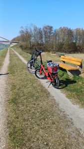 20" E-Bike 155–195 cm 36 V 20 Ah 110–130 km IPX5 7-Gang – StVZO-konform mit legaler Schiebehilfe (6 km/h) – Grün Kunden-Foto 5