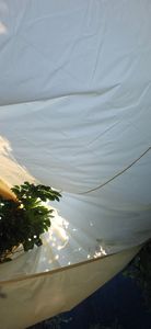 Sonnensegel Wasserdicht Rechteckig 4x4M, Sonnenschutz Windschutz Segeltuch Reißfest 420D Oxford Gewebe mit Ösen und Seile für Balkon Garten Camping Kunden-Foto 2