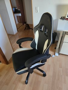 Delman Bürostuhl Gaming Stuhl Massage Gaming Sessel Ergonomischer mit Fußstütze Kopfstütze Massage-Lendenkissen Gaming Chair Drehsessel 02-0042 Grau Kunden-Foto 3