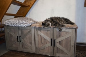SucceBuy Bac à litière pour 2 chats, armoire en bois à double compartiment, convient à la plupart des bacs à litière, 47,2" L x 18,5" l x 19,7" H, blanc Photo du client 1