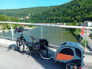 Prophete ® Rolltop E-Bike Lussuosa borsa impermeabile per bicicletta singola 19 litri - nera - con protezione riflettente - 100% impermeabile - con tracolla Foto del cliente 1