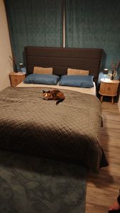 Flieks Letto imbottito con contenitore e rete a doghe Letto matrimoniale idraulico Letti funzionali 160x200cm Foto del cliente 1