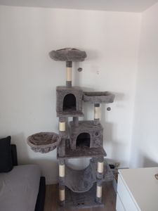 Feandrea XXL Kratzbaum, 199 cm, mehrstufig, mit Sisalstämmen, beige Kunden-Foto 25