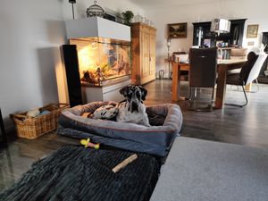 WISFOR Orthopädisch Hundebett Hundesofa Hundecouch Hundekissen große Hunde Schlafplatz, wasserfest waschbar Bezug abnehmbar L: 100x75x19cm Kunden-Foto 16
