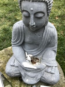 Relaxdays Buddha Figur sitzend, XL 70 cm, Gartenfigur, Dekofigur Wohnzimmer, wetterfest & frostsicher, dunkelgrau Kunden-Foto 2