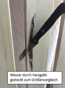 Bücherregal, Holzregal, Standregal, Wandregal, Regal mit 5 Böden, Büroregal, B-18 170x80x30 5 Böden, Lagerregal, Aktenregal für ordner, Lenmar Kunden-Foto 3