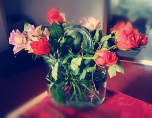 360Home Glas Blumenvase Handtasche geformt klar Vase Aquarium /LVPING/ Kunden-Foto 1
