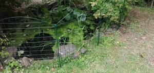EINFEBEN 22tlg Set Teichzaun mit 10 Zaunelemente und 12 Befestigungsstaeben, Gartenzaun Zaun Teich, Gartenzaun Gruen, Welpenauslauf, Freigehege(Oberbogen) Kunden-Foto 2
