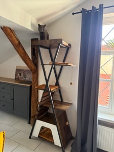 Tiragraffi COSTWAY, tiragraffi per gatti da 185 cm con 4 piattaforme, cuccia, pannello per graffiare, palline e tappetini rimovibili, casetta per gatti, tiragraffi per gatti in marrone rustico Foto del cliente 2