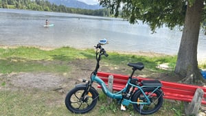 HillMiles E Bike, E-Bike Klapprad mit 36V 13Ah Akku bis zu 80-100km, 20 *3.0 Zoll, 7-Gang SHIMANO, 250W Motor & 25km/h MilePort 1 Kunden-Foto 31