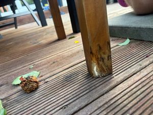 KESSER® Gartenbank Holz Holzbank wetterfest | Für 3 bis 4 Personen | Parkbank aus Massivholz | Sitzbank 320 kg belastbar | Balkonbank Bank für Balkon Terrasse & Garten inkl. Cover Kunden-Foto 10