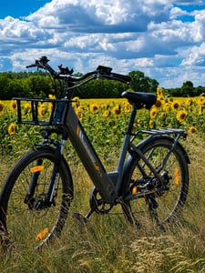 Runetic Ebike, City e-bikes & Dutch e-bikes, 250W Motor, herausnehmbarer 36V 13Ah Akku, bis zu 100 km Reichweite, 7 Gänge, 25 km/h, Grau Kunden-Foto 2