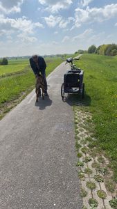 DOGGYHUT® Premium XL Hundefahrradanhänger Hundeanhänger Fahrradanhänger Kunden-Foto 1