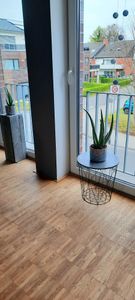 2er Set - Aloe vera - ca. 2 Jahre alt - 10,5cm Topf Kunden-Foto 3