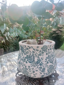 Clayre & Eef Blumentopf Ø 17x16 cm Grau Beige Keramik Blumen Kunden-Foto 1