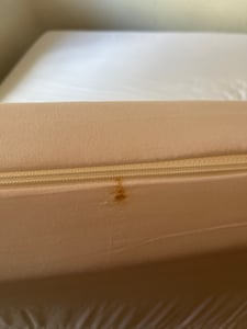 10cm Ergonomische 7-Zonen Kaltschaum Matratzenauflage Matratzentopper Matratzenschoner Topper - H2 - (160 x 200 cm) - Träumegut24 Kunden-Foto 10