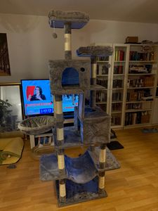 Toller Kratzbaum 