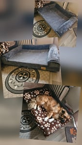 WISFOR Orthopädisch Hundebett Hundesofa Hundecouch Hundekissen große Hunde Schlafplatz, wasserfest waschbar Bezug abnehmbar L: 100x75x19cm Kunden-Foto 2