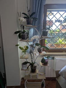 LEADZM Blumenständer mit Wachstumslicht, 8 Ebenen Blumentreppen, 4 Räder，122cm/126.5cm Hoch Pflanzenständer Metall Blumenregal für Indoor Balkon,Weiß Kunden-Foto 1