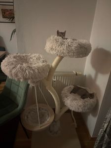 Designerski drapak Fudajo w kształcie gałęzi o wysokości 130 cm, drapak dla kota z pluszu i sizalu, drzewko wspinaczkowe dla kotów, drapak dla kota z wiszącą leżanką Zdjęcie produktu od klienta nr 5