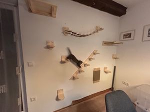 Parete di arrampicata Sdraietta per gatti Sdraietta per gatti Letto per gatti Scaffale per gatti a parete XXL 9965 Foto del cliente 1
