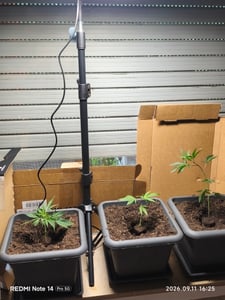 Bettizia LED plantlamp met standaard, 25 Watt full-spectrum groeilamp, plantlamp met verstelbare hoogte (77-130 cm) en statief, geschikt voor kamerplanten Klantenfoto 1